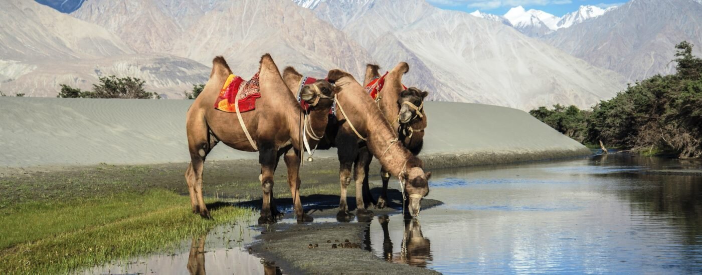 Nubra Valley, Ladakh - Authentic India Tours