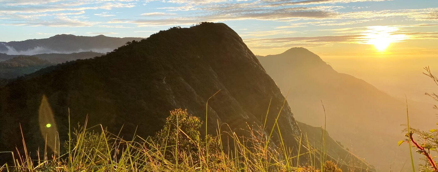 Yellapetty & Mount Meesapulimalai - Authentic India Tours