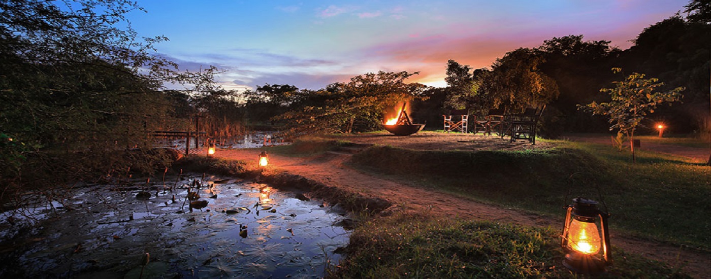 Leopard Trails Wilpattu Atol And Abta Protected Holidays Authentic