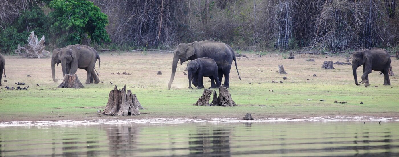 Hidden Gems of the Western Ghats