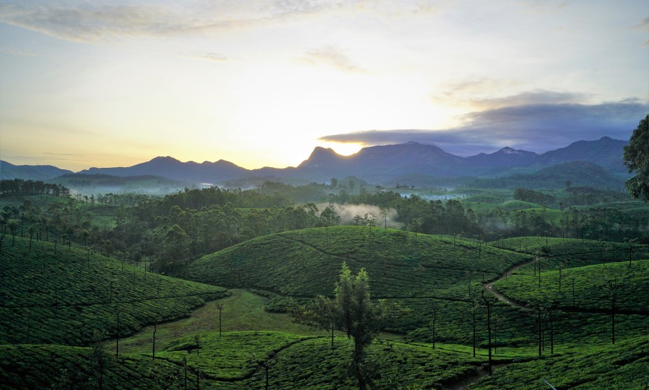 Valparai, Tamil Nadu