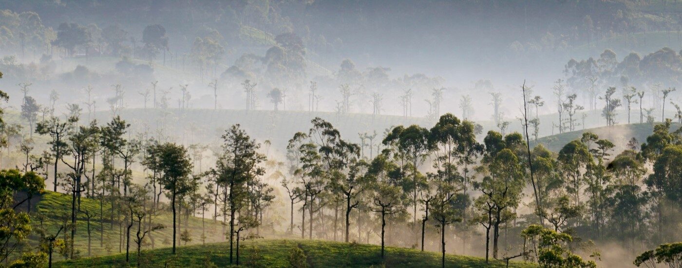 Valparai, Tamil Nadu