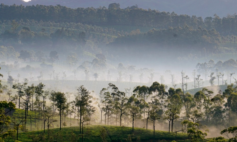 Valparai, Tamil Nadu