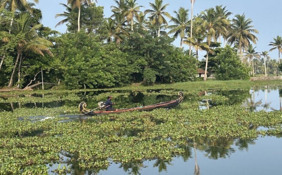 The Kerala backwaters