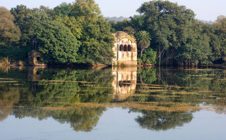 An image of the fort on the lake at Ranthambore National Park