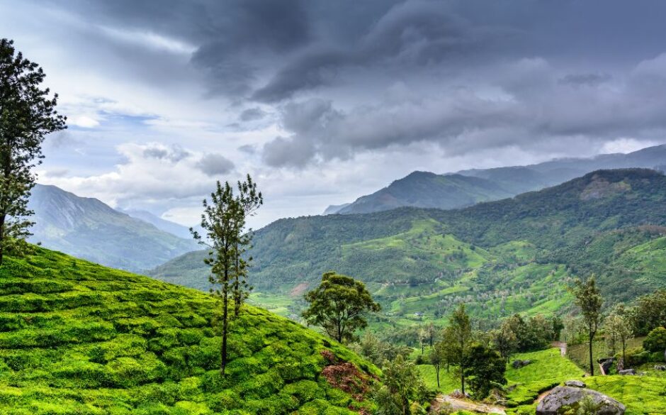 Wayanad Kerala