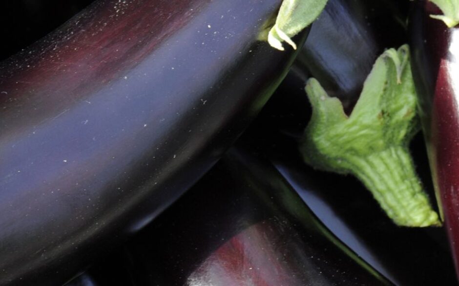 Indian Vegetables - Baingan (Aubergine)