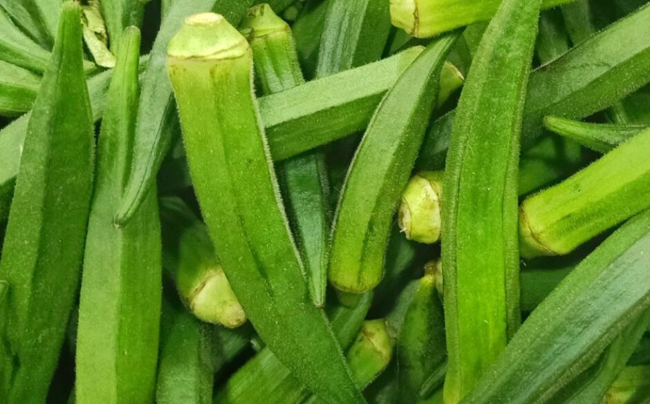 Indian Vegetables - Bhindi (Okra)