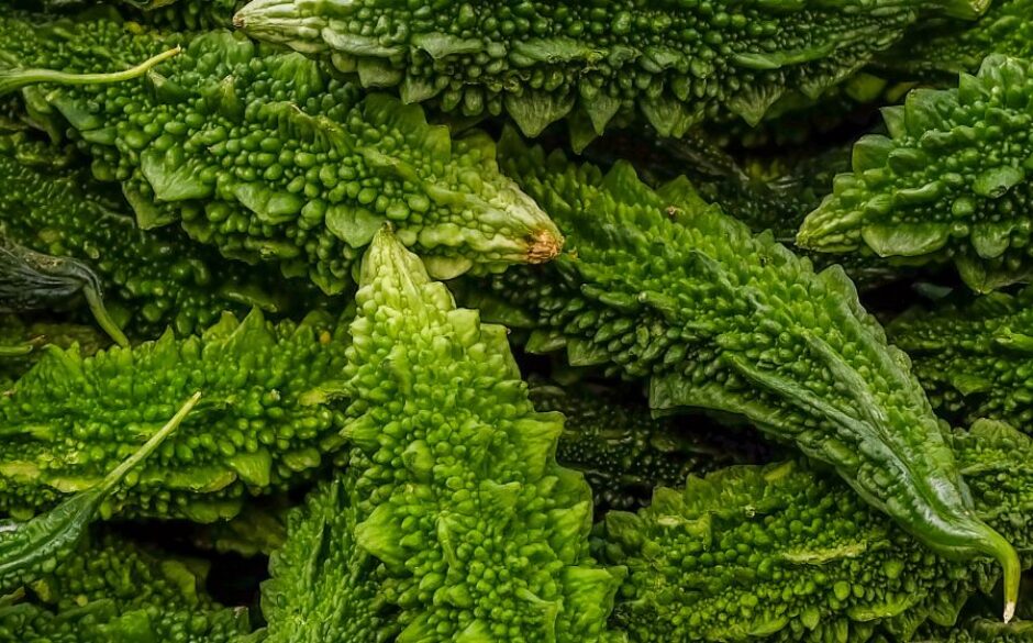 Indian Vegetables - Karela (Bitter Gourd)