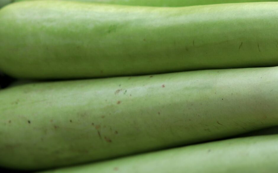 Indian Vegetables - Lauki (Bottle Gourd)