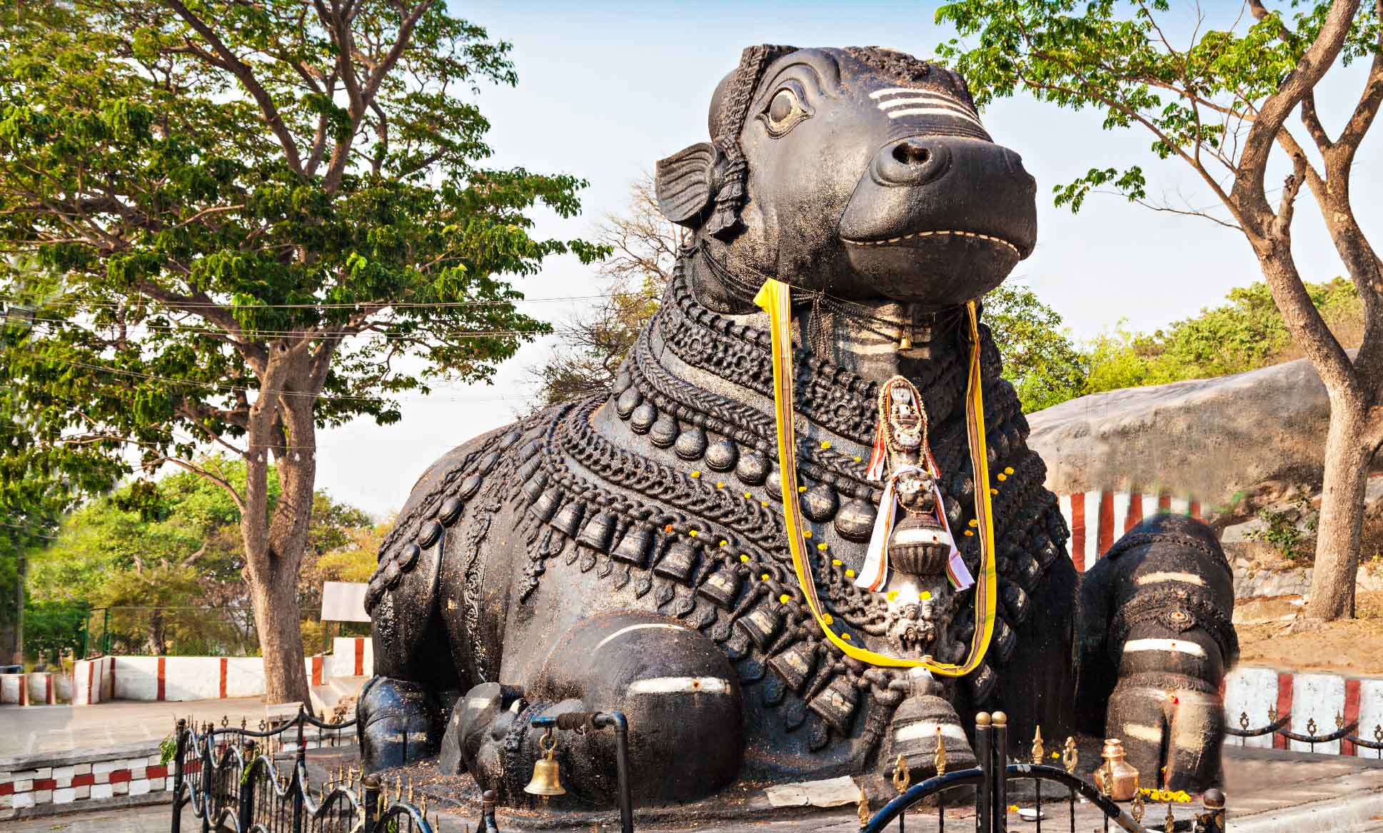 Nandi Bull, Mysuru