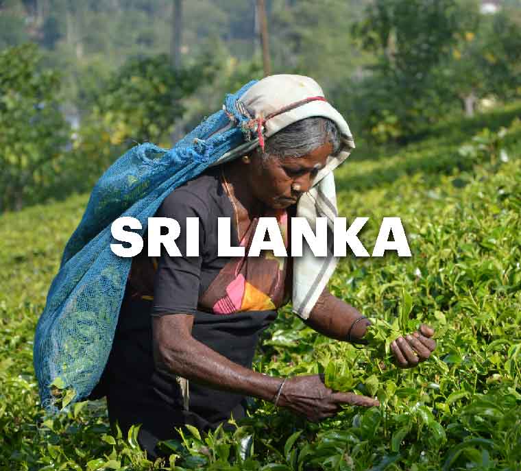 Sri Lanka